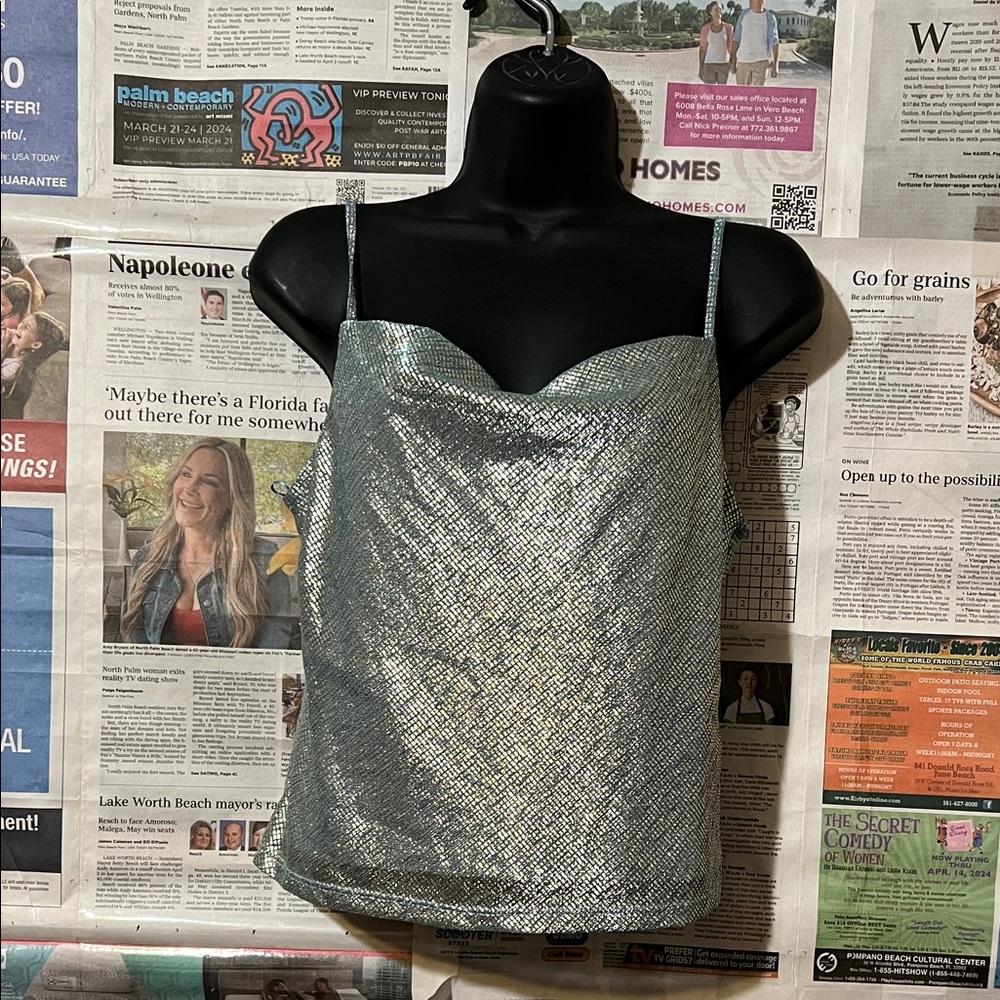 Shimmering Silver Women's Top